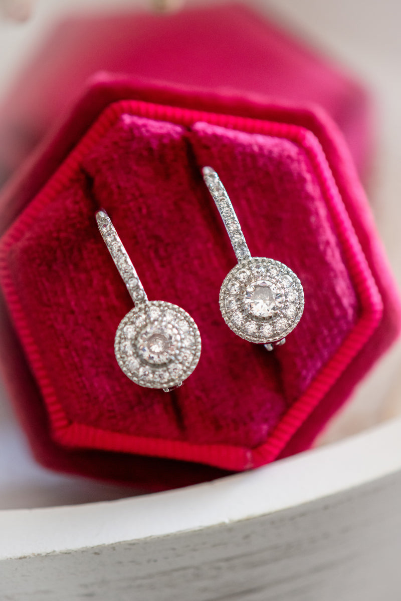 Donna Mini Hoop Styled Earring Clustered Stones